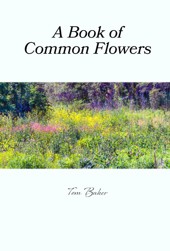 baker book of common flowers